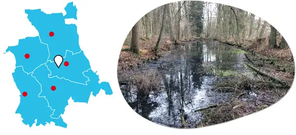 Teich im Örtze-Eck Karte mit Lagepunkt und Foto der Maßnahme